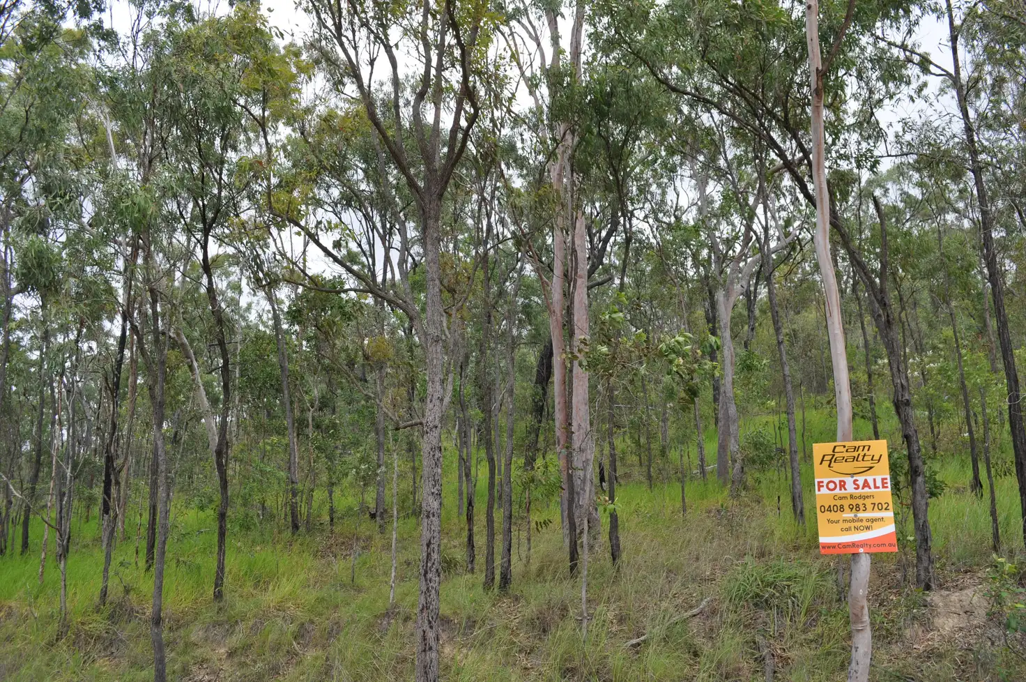 Main view of Homely land listing, LOT 207 Davies, Captain Creek QLD 4677
