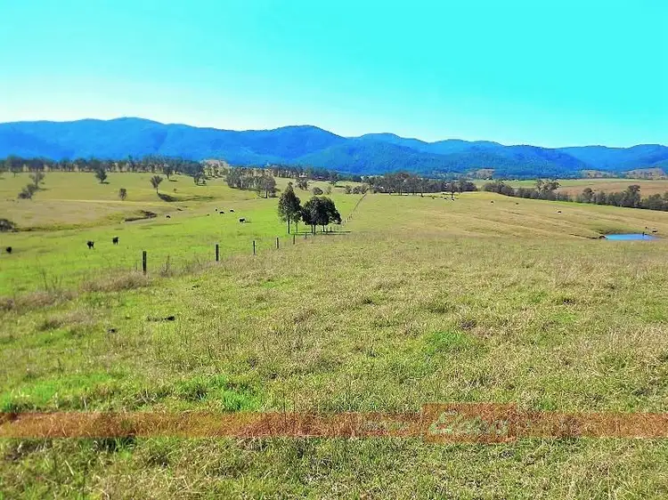 Second view of Homely rural property listing, 1330 Thunderbolts Way, Gloucester NSW 2422