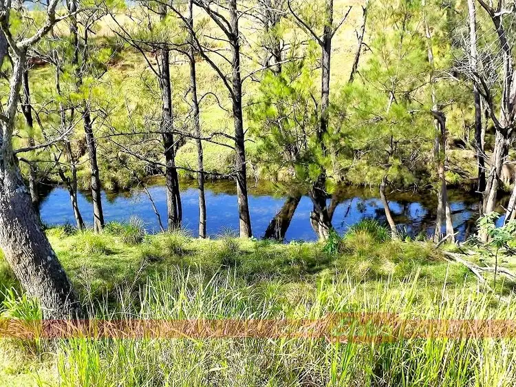 Third view of Homely rural property listing, 1330 Thunderbolts Way, Gloucester NSW 2422