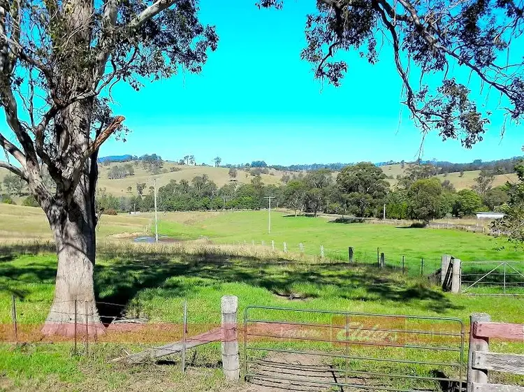 Fifth view of Homely rural property listing, 1330 Thunderbolts Way, Gloucester NSW 2422