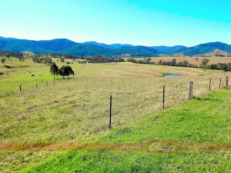 Sixth view of Homely rural property listing, 1330 Thunderbolts Way, Gloucester NSW 2422