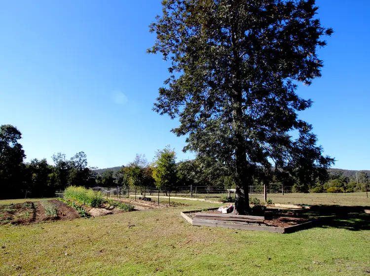 Main view of Homely rural property listing, 438 Upper Rollands Plains Rd, Rollands Plains NSW 2441