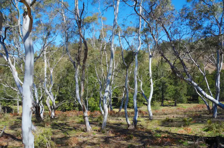 Third view of Homely land listing, Lot 30 Megalong Place, Little Hartley NSW 2790