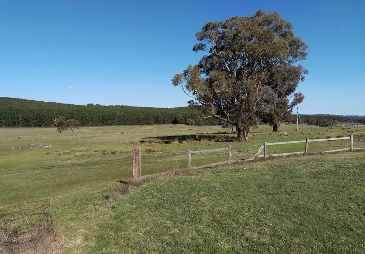 Second view of Homely rural property listing, 248 Archer Road, Mullion Creek NSW 2800