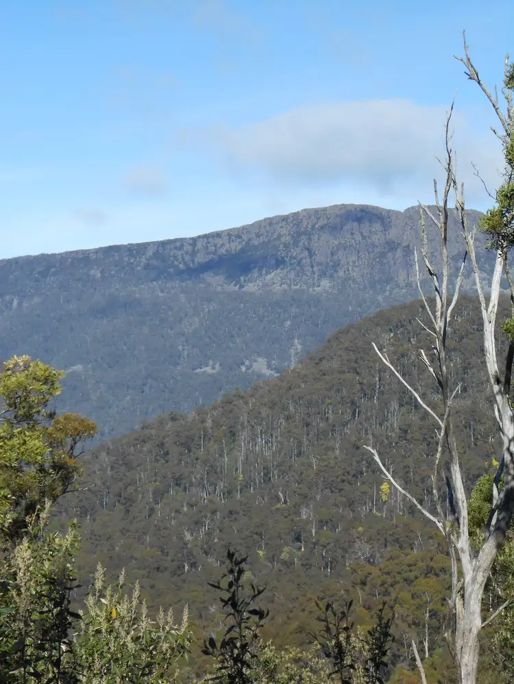Lot 1 Myrtle Creek Road