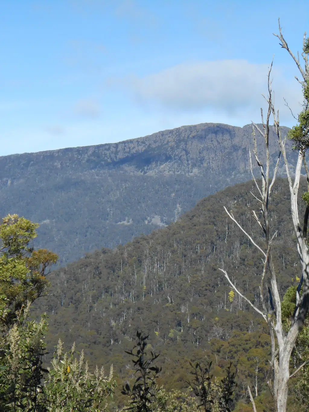 Main view of Homely rural property listing, Lot 1 Myrtle Creek Road, Liffey TAS 7301