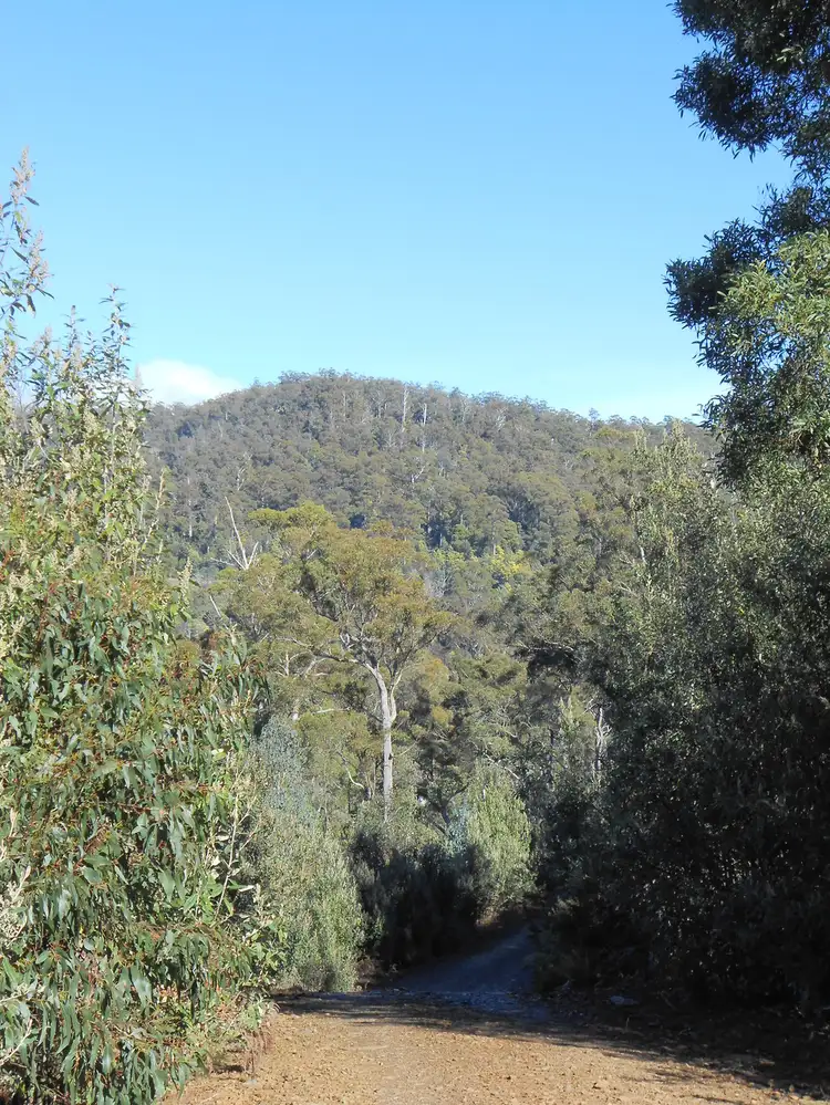 Third view of Homely rural property listing, Lot 1 Myrtle Creek Road, Liffey TAS 7301