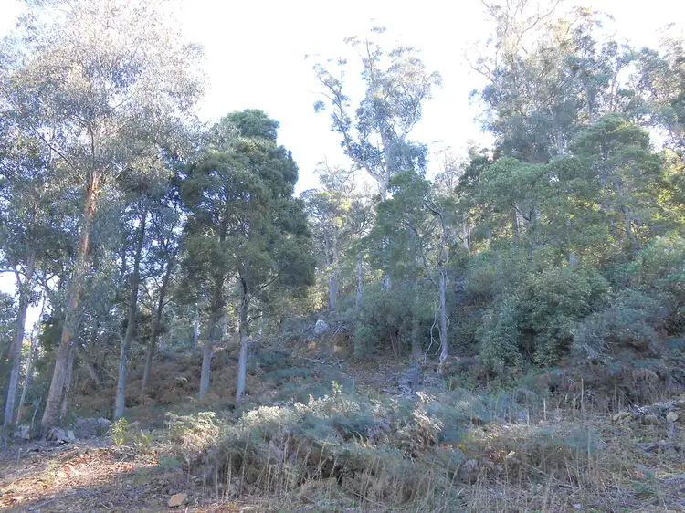 Fourth view of Homely rural property listing, Lot 1 Myrtle Creek Road, Liffey TAS 7301