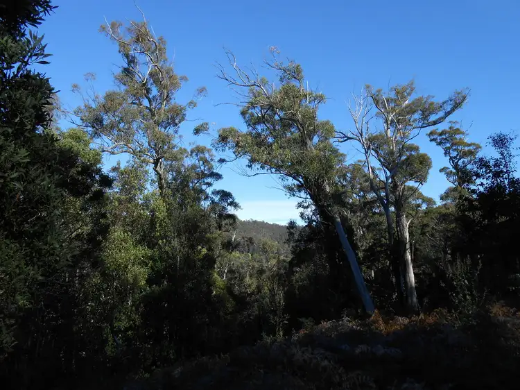 Fifth view of Homely rural property listing, Lot 1 Myrtle Creek Road, Liffey TAS 7301
