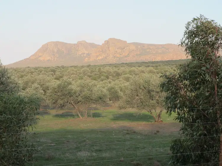 Seventh view of Homely rural property listing, 615 Winfields Road, Horsham VIC 3400