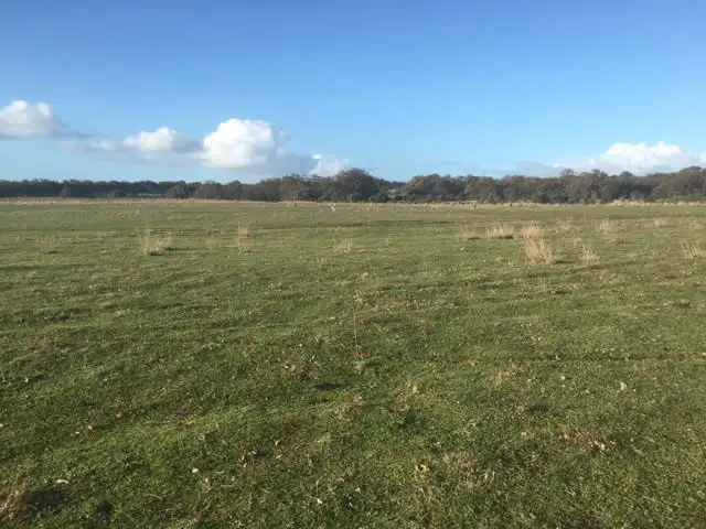 Sixth view of Homely rural property listing, Lot 506 (97) Dewar Road, Gingin WA 6503