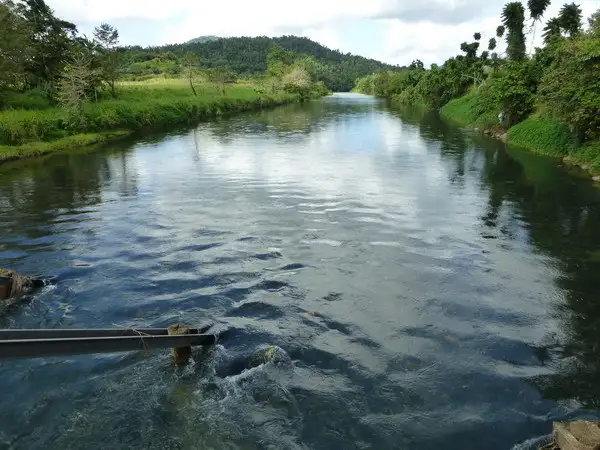 Main view of Homely rural property listing, Address available on request