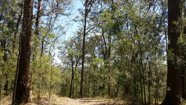 Fourth view of Homely rural property listing, Address available on request