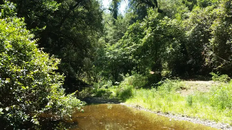 Sixth view of Homely rural property listing, Address available on request