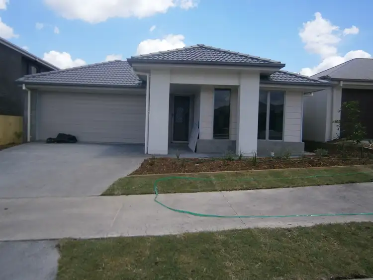 15 Grindelia Drive, Springfield Lakes QLD 4300