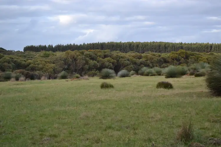 Main view of Homely rural property listing, Lot 1 MOUNT TAYLOR ROAD, Gosse SA 5223