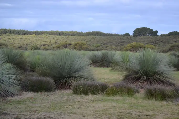 Second view of Homely rural property listing, Lot 1 MOUNT TAYLOR ROAD, Gosse SA 5223