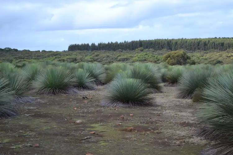 Third view of Homely rural property listing, Lot 1 MOUNT TAYLOR ROAD, Gosse SA 5223