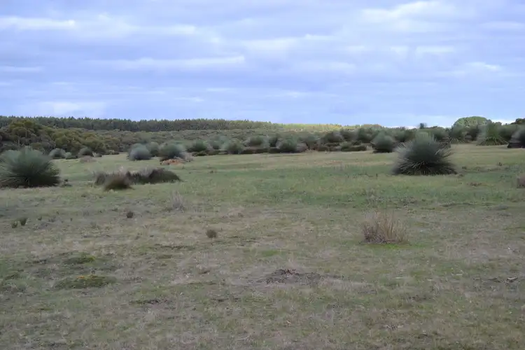 Fifth view of Homely rural property listing, Lot 1 MOUNT TAYLOR ROAD, Gosse SA 5223