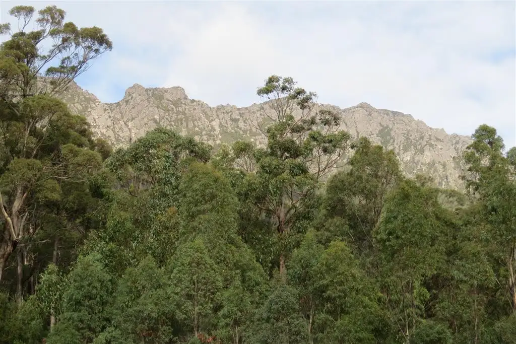 Main view of Homely rural property listing, Lot 1 Foleys Road, Claude Road TAS 7306