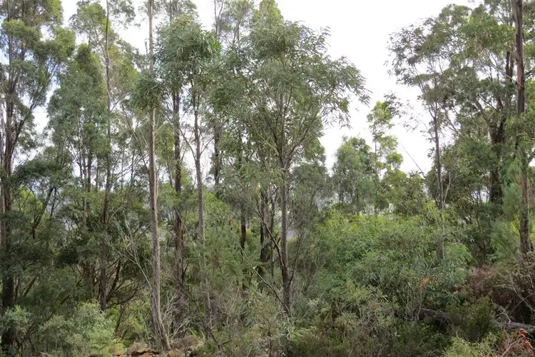 Second view of Homely rural property listing, Lot 1 Foleys Road, Claude Road TAS 7306