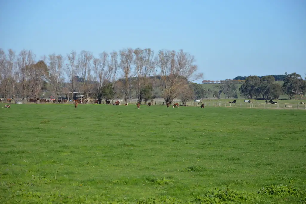 Main view of Homely rural property listing, 2920 Westernport Road, Drouin VIC 3818