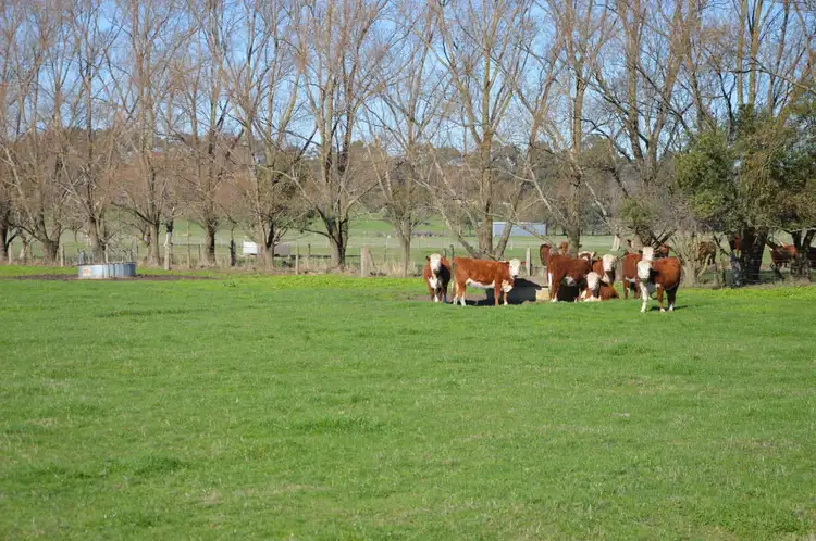 Second view of Homely rural property listing, 2920 Westernport Road, Drouin VIC 3818