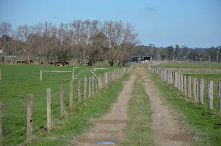 Fifth view of Homely rural property listing, 2920 Westernport Road, Drouin VIC 3818