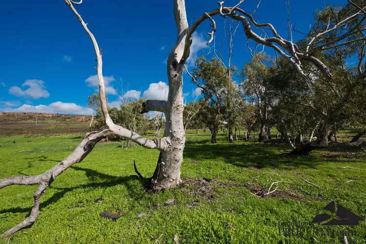 Third view of Homely land listing, Lot 82 Murphy Norris Road, Narra Tarra WA 6532