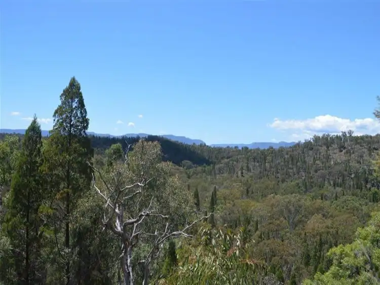 Seventh view of Homely rural property listing, Homestead Genowlan Road, Glen Alice NSW 2849
