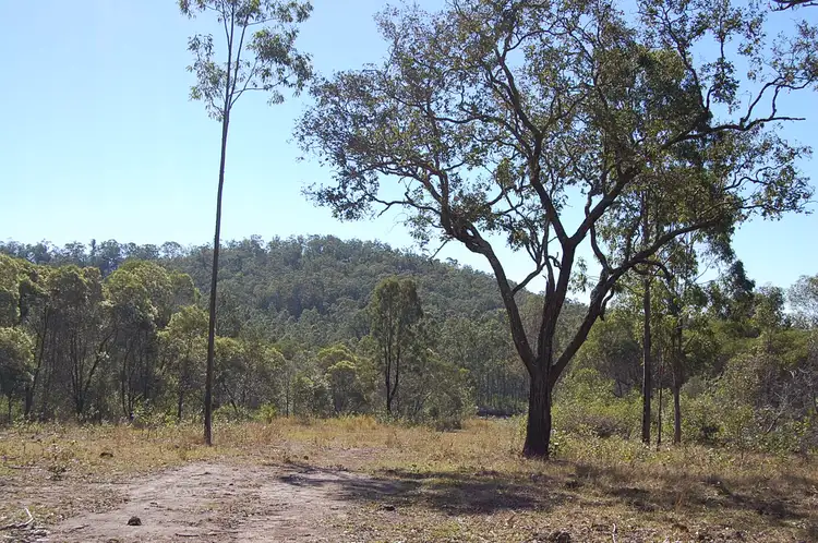 Second view of Homely rural property listing, Lot 1 of Lot 112 Ewingar Road, Tabulam NSW 2469