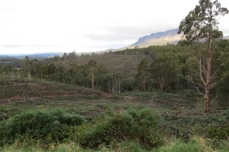 Second view of Homely rural property listing, 311 Staverton Road, Promised Land TAS 7306