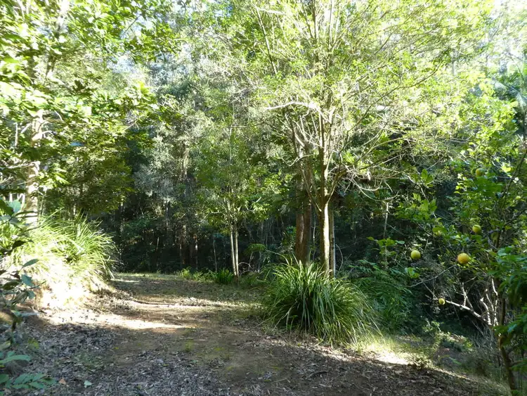 Third view of Homely land listing, 535 UPPER LANDERSHUTE ROAD, Palmwoods QLD 4555