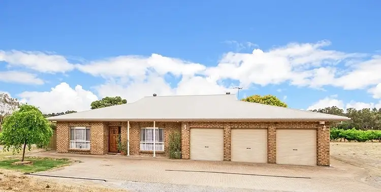 313 Kangarilla Road, Mclaren Flat SA 5171