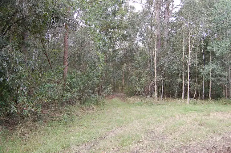 Main view of Homely rural property listing, 265 Wrench Road, ELLANGOWAN via, Casino NSW 2470