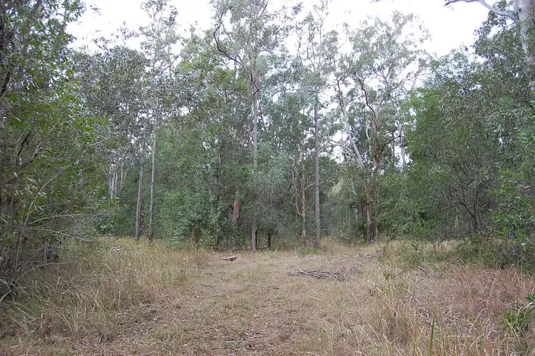 Third view of Homely rural property listing, 265 Wrench Road, ELLANGOWAN via, Casino NSW 2470
