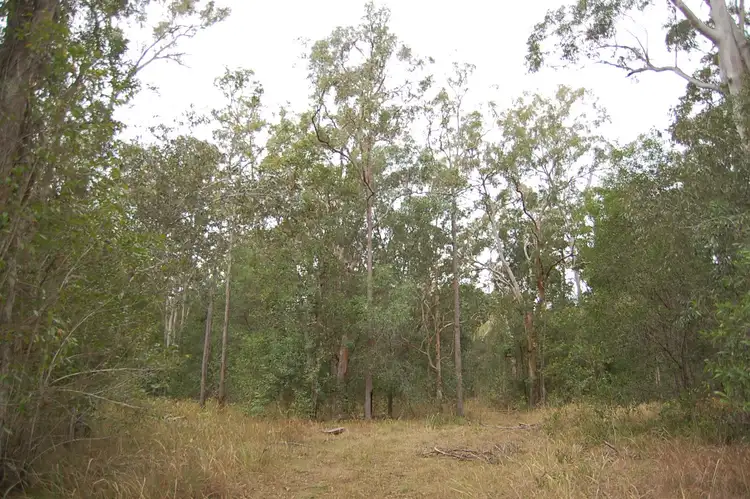 Fourth view of Homely rural property listing, 265 Wrench Road, ELLANGOWAN via, Casino NSW 2470