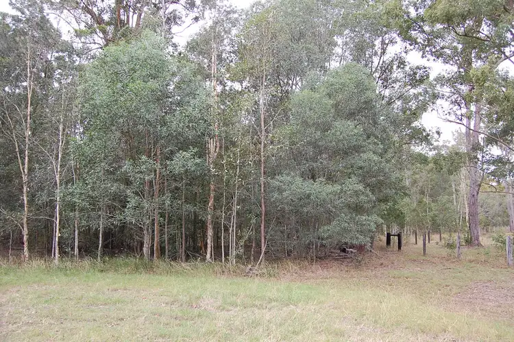 Fifth view of Homely rural property listing, 265 Wrench Road, ELLANGOWAN via, Casino NSW 2470