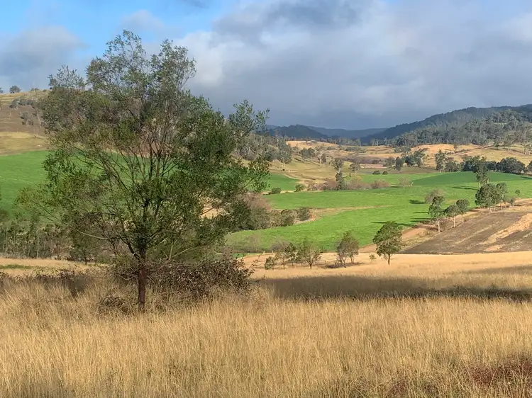 105 Tarlintons Lane, Candelo NSW 2550