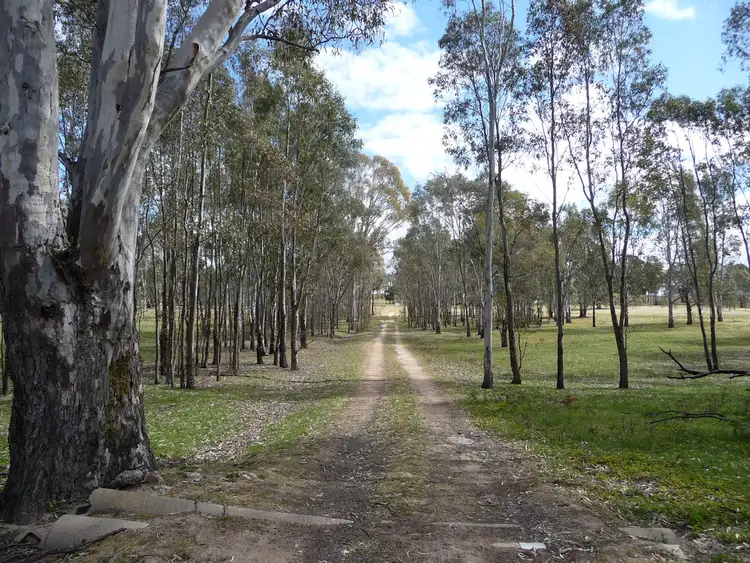 Third view of Homely rural property listing, 2981 Northern Grampians Road, Wartook VIC 3401