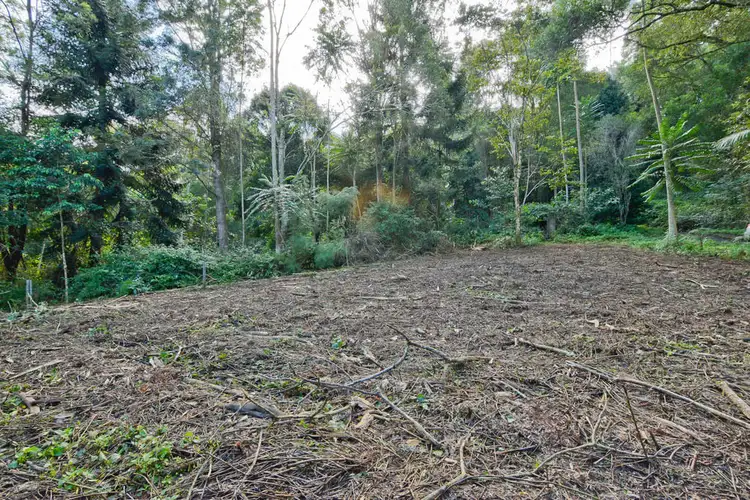 Lot 25 Young Road (Siddha Farm), Nimbin NSW 2480
