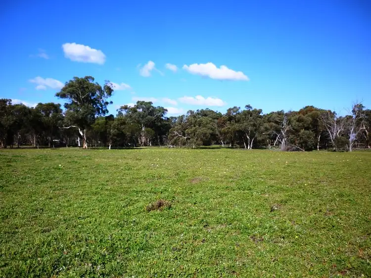 Fourth view of Homely rural property listing, 4601 Doyle Road, Bokal WA 6392