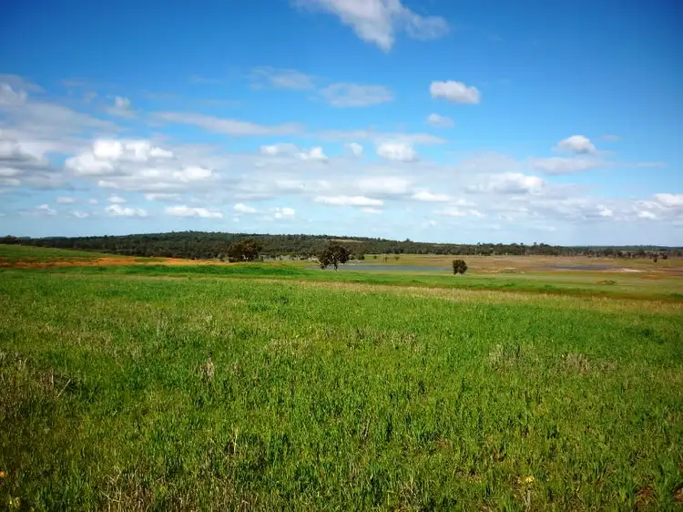 Fifth view of Homely rural property listing, 4601 Doyle Road, Bokal WA 6392