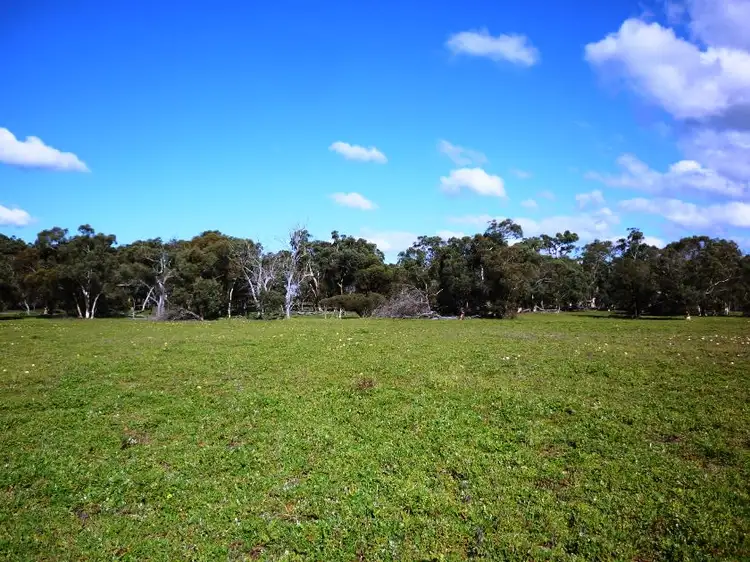 Sixth view of Homely rural property listing, 4601 Doyle Road, Bokal WA 6392