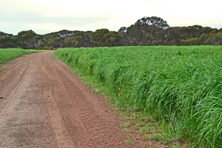 Fifth view of Homely rural property listing, Section 30 Starrs Road, Macgillivray SA 5223