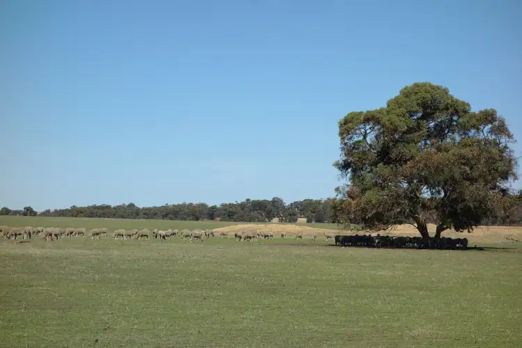 Sixth view of Homely rural property listing, Lot 4 Noble Road, Arthur River WA 6315
