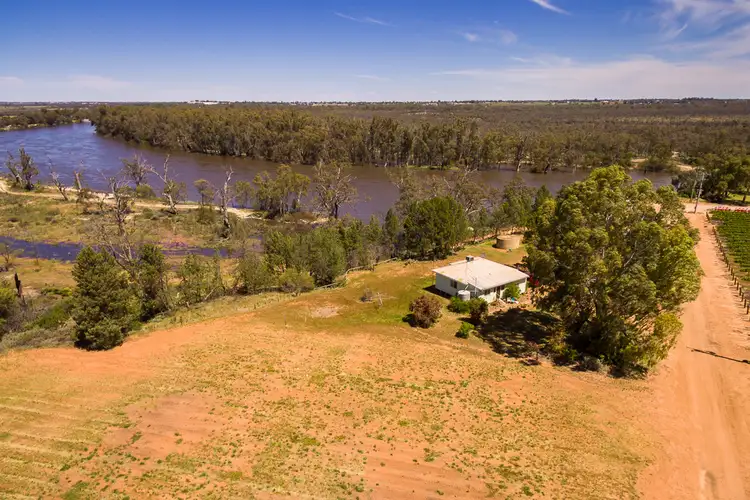 Main view of Homely rural property listing, Lot 1 464B River Road, Coomealla NSW 2717