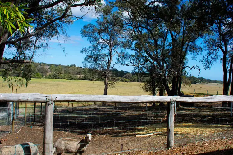 Seventh view of Homely house listing, 45 Watkins Road, Mundijong WA 6123