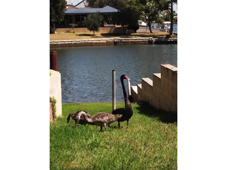 Fourth view of Homely house listing, 3 Allambi Way, South Yunderup WA 6208