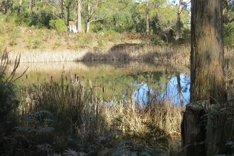 Lot 1 North Pole Road, Nook TAS 7306
